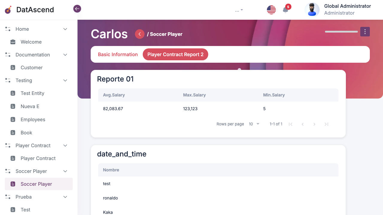 Embedded Report Tab View