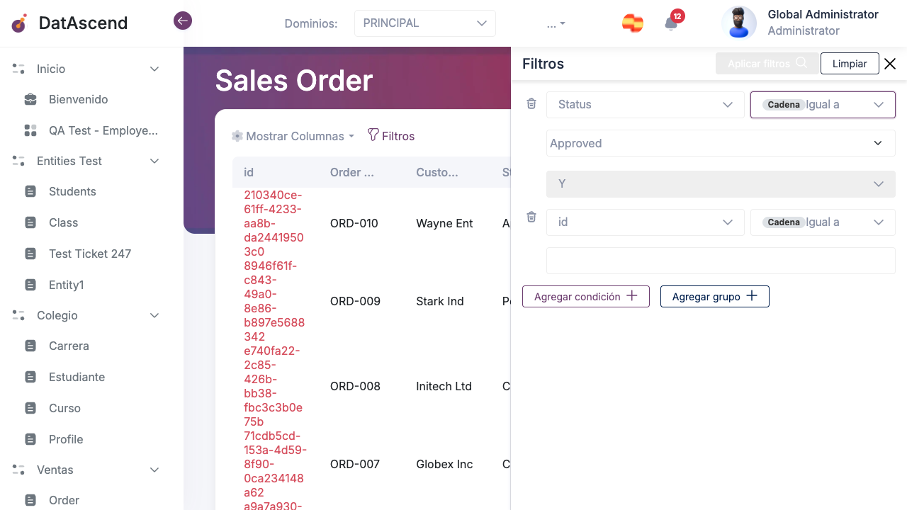 Panel de filtros con dos filas de condición configuradas