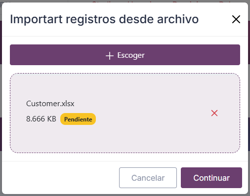 Selección de archivo en el modal de importación