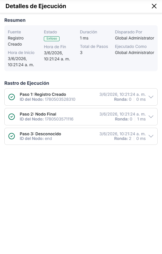 Registro de Ejecución Detallado
